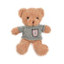 Plush Teddy Bear in Sweater Stuffed Toys