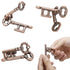 Brain Tester Development Alloy Key Ring Puzzle