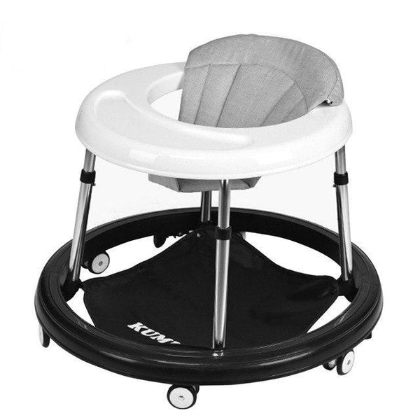 Baby Multi-function Walker