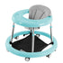 Baby Multi-function Walker
