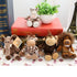 5pcs Plush Animal Toys